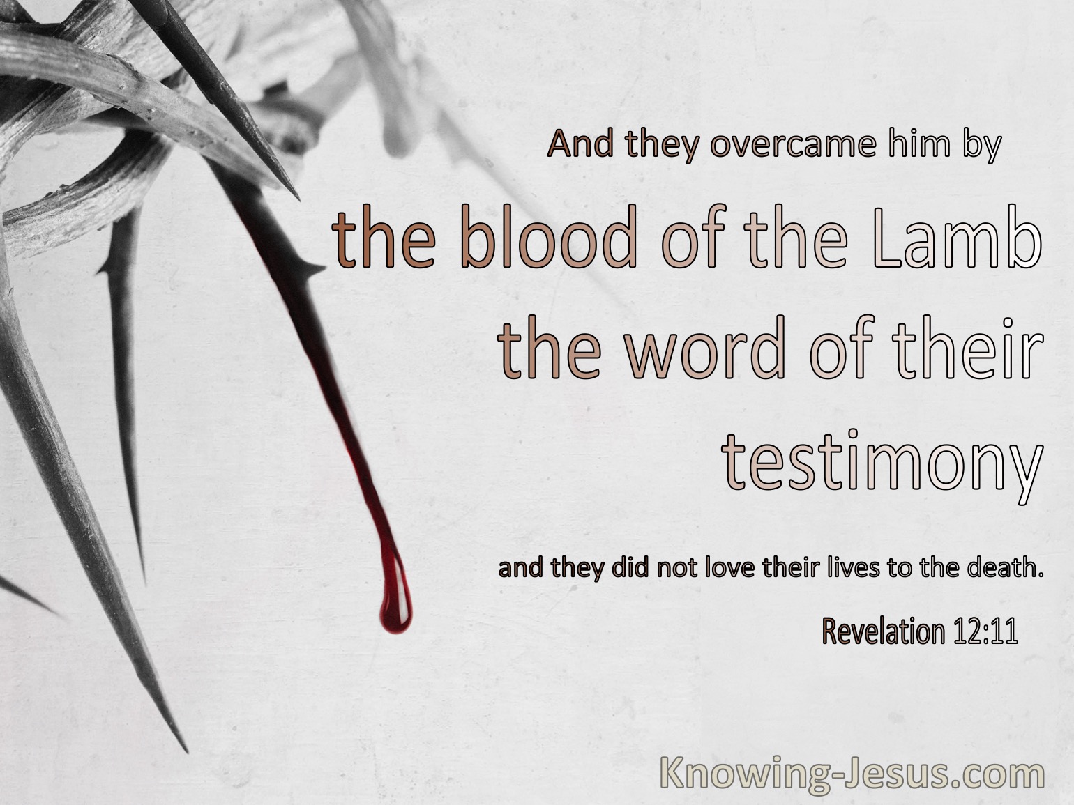 What Is The Blood Of The Lamb Mean